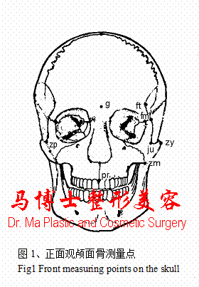颌面骨正面骨性测量点 颌面骨正面骨性测量点