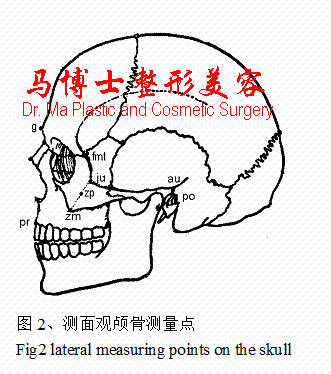 颌面骨侧面骨性测量点 颌面骨侧面骨性测量点
