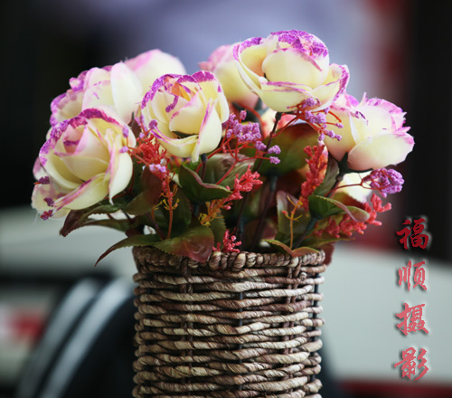 你的美丽是我毕生追求 你的美丽是我毕生追求